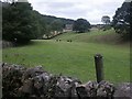 Pasture near Hill Houses, Hayfield