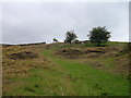 "Enclosure" at Carleton Lane Head