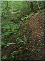 Precipitous footpath by Lead Brook