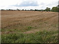 Straw bales in stubble field, Fields Farm