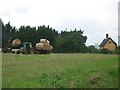 Field near Pond Farm, Fen Street