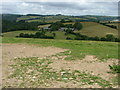 Towards Newham Farm