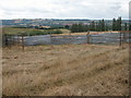 Livestock pens, Hanley Child