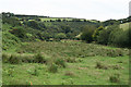 Withypool and Hawkridge: the Dane?s Brook valley