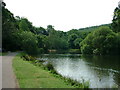 Mill Pond at Deerpark Forest, Herodsfoot