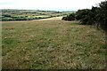 Hilltop Pasture