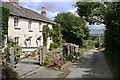 Cottages outside Burlawn