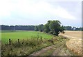 Track towards Knockmore