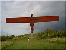 NZ2657 : Angel of the North by Bill Griffiths