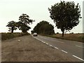 TL7818 : Road from White Notley to Black Notley, Essex by Robert Edwards