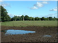 Farmland around the Obelisk