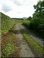 Newly trimmed hedges near Little Sorn