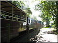 Train and Cycle Tracks near Plas Dinas