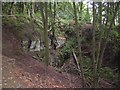 Quarry in a wood off Cowcliffe Road, Fixby