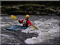 SD5164 : A kayaker surfing a wave on the rapids by Halton by Iain Robinson