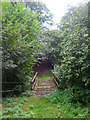 Footbridge near Dunford