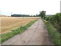 Track to Grove Farm, near Chalgrave