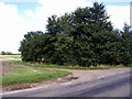 Footpath to Mill Hill