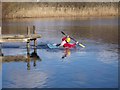 NY3703 : A kayaker seal launching off a jetty by Iain Robinson