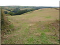 View towards Knighton farm