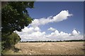 Part of Armoury Farm viewed from the Essex Way