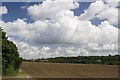 Armoury Farm, East of West Bergholt