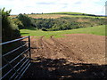 Watkins Wood from near Grimpstonleigh