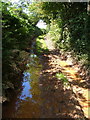 Muddy bridleway