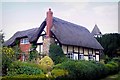 SO5538 : Cottage in Hampton Bishop by Stephen Nunney