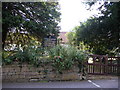 Shalfleet churchyard