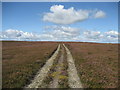 SE1775 : Track on Grewelthorpe Moor by Chris Heaton