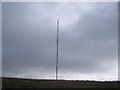 J2772 : Black Mountain Transmitter Mast. by Peter Lyons