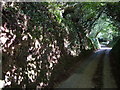 Sunken lane, Sigdon