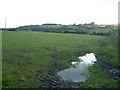 SJ2357 : Farmland near the Afon Terrig by David Medcalf