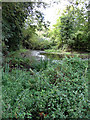 Moat near Watton at Stone