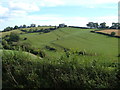 SX8868 : View near Coffinswell by Derek Harper