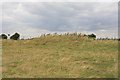 Tumulus near Blandford military Camp