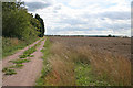 Farm track off Cosby Road