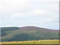 The Summit of Moel Smytho from SH5458