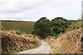 A Country Road through Pasture Land