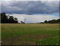 Meadow west of Lenham Forstal Road