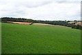 Wort Wood and multi coloured fields