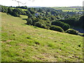 View down Washbrook valley