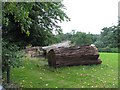 Logs in Dingley Park