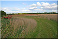 Farmland on Luffenham Heath