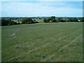 ST4848 : Meadows on Westbury Moor by Patrick Mackie