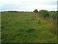 Fields near Ashcott