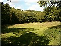 Mendip Way near Railford Bridge