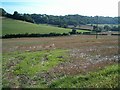 Fields of stubble