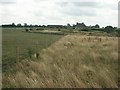 Bibury Farm from Hale Barn